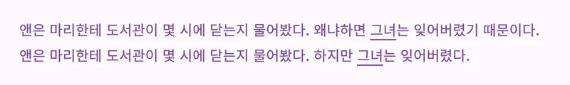 WSC의 추론 문제