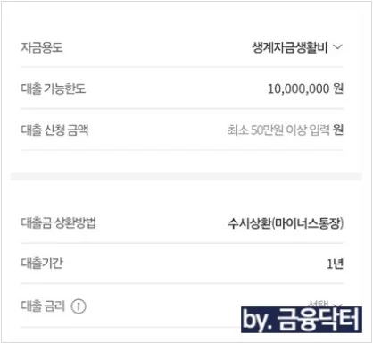 마이너스통장 추가대출 신청