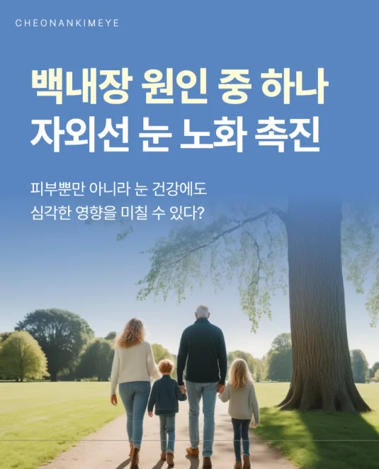 천안 백내장과 자외선