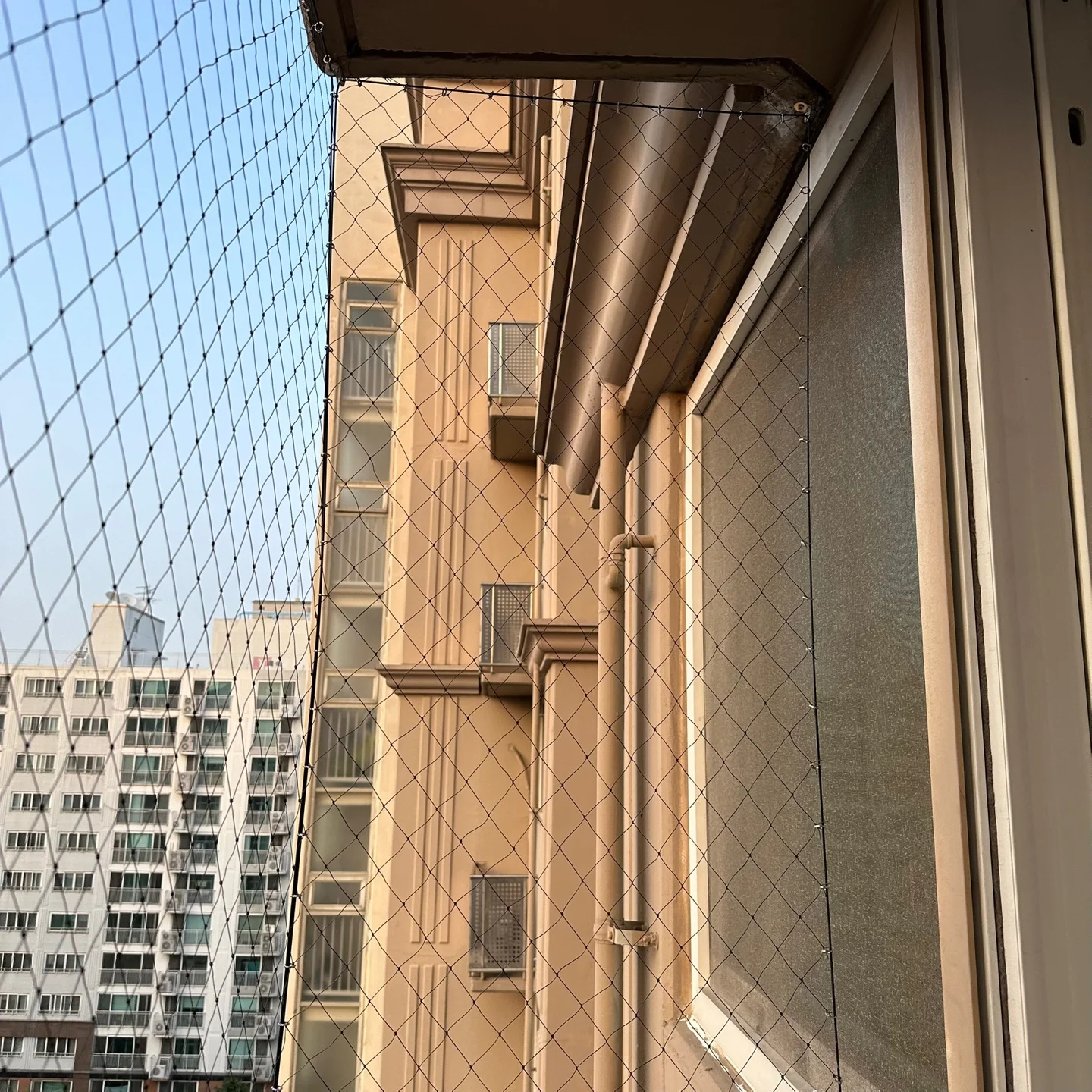 비둘기 퇴치 조망 시공