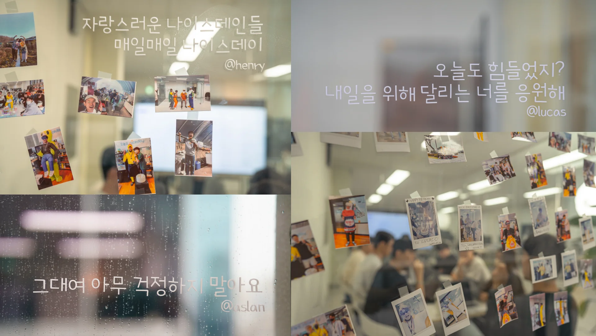 자랑스러운 나이스데인들