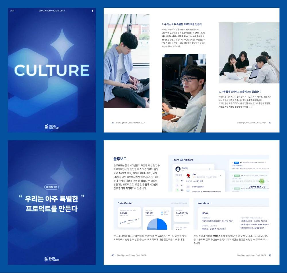 블루시그넘 컬처 덱 중 일부