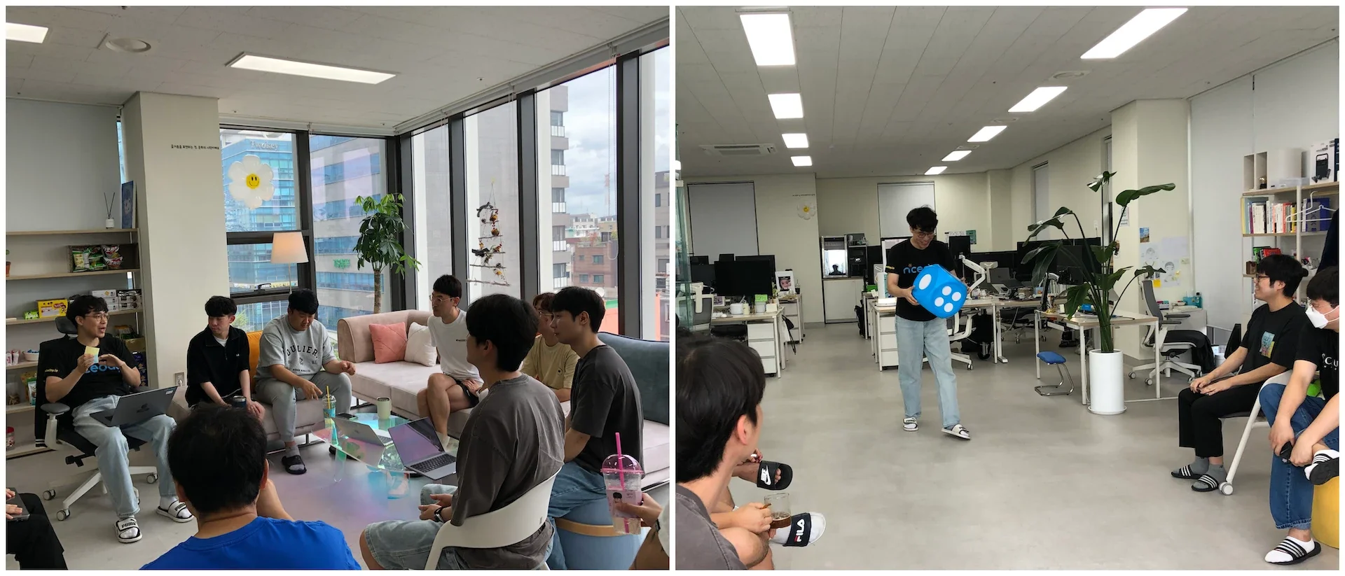 carrot님의 나이골 공유 & 나이스포인트(NP)획득을 위한 주사위 돌리기