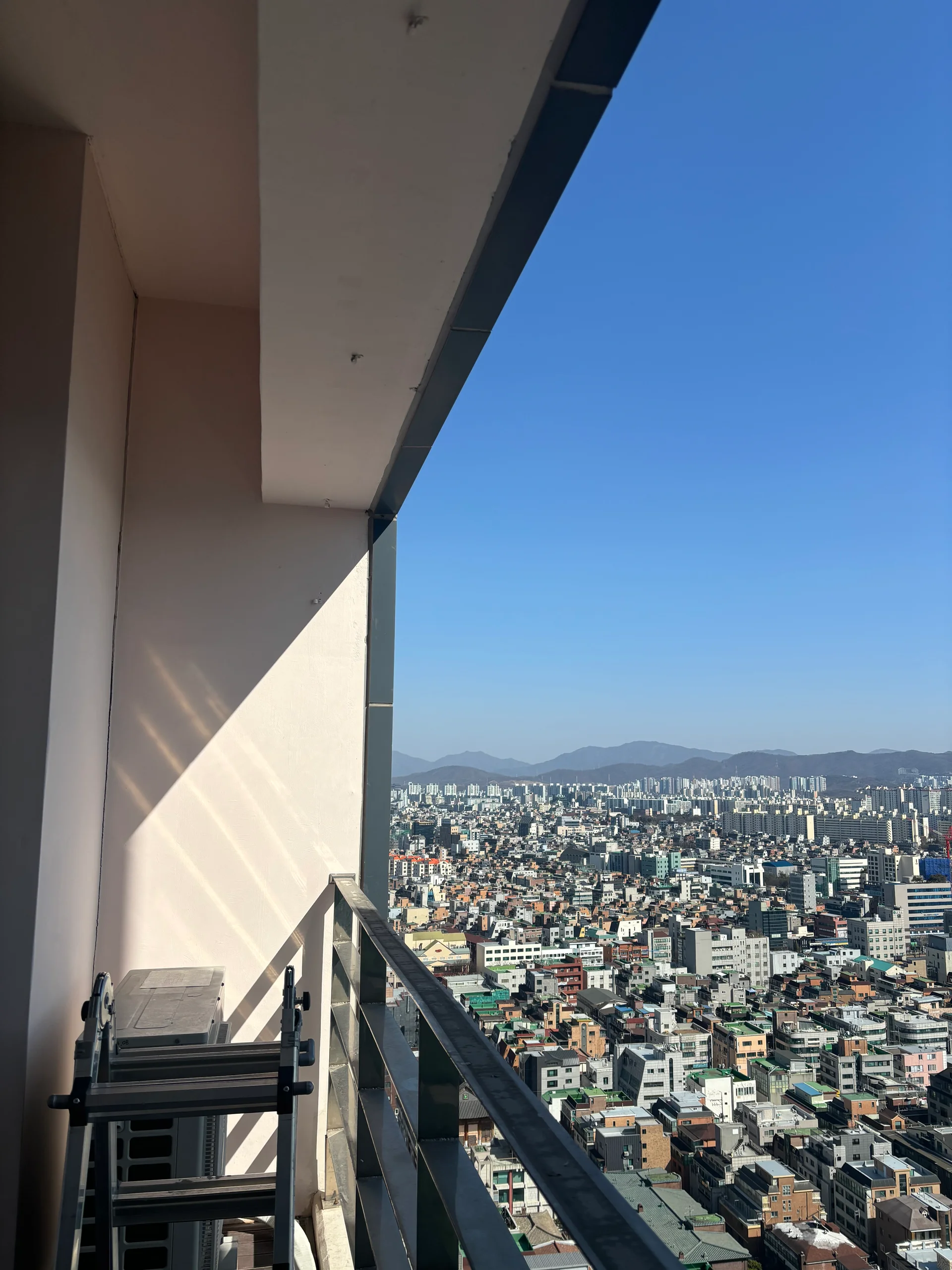 비둘기 피해 발코니 현장