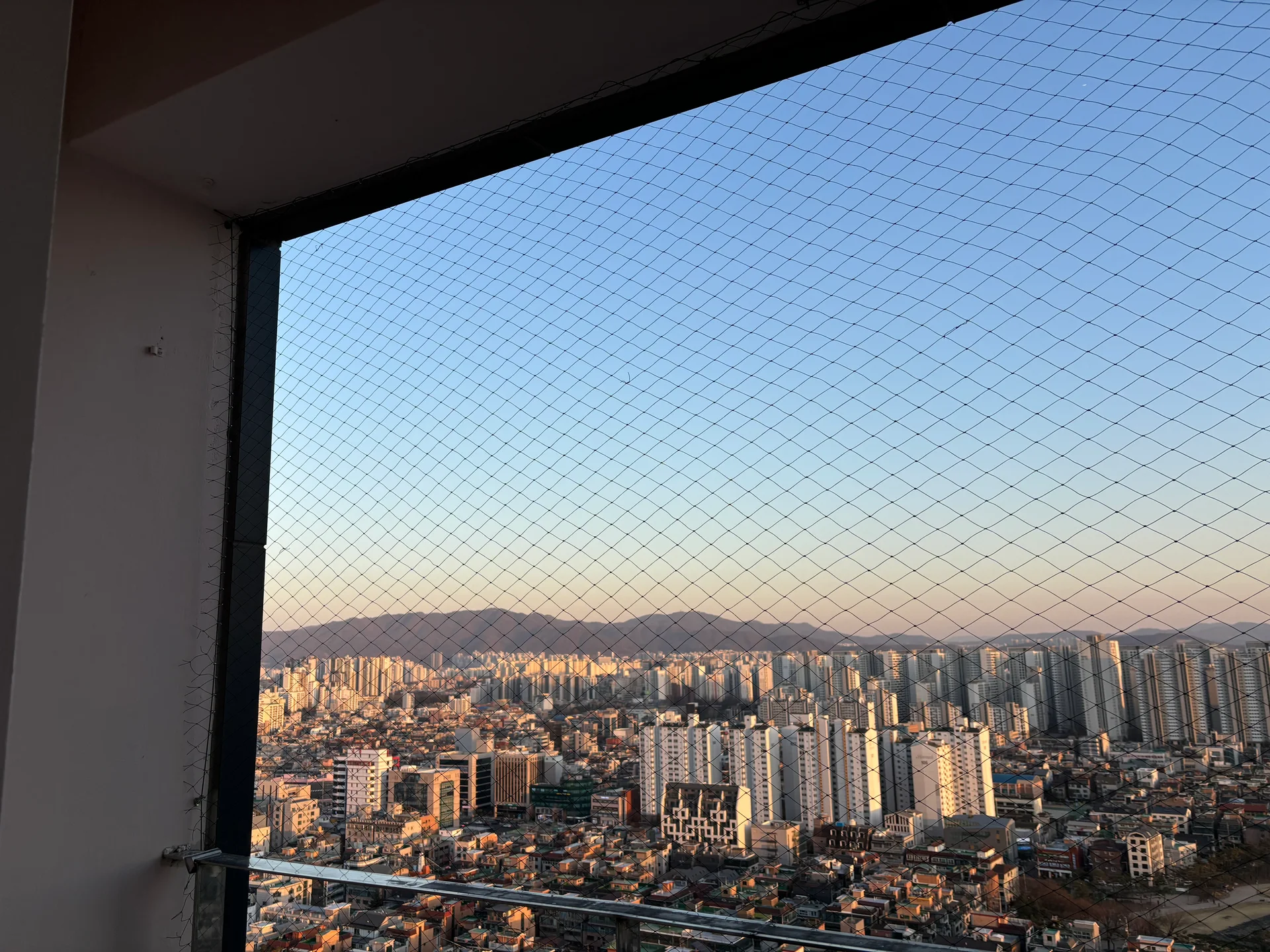 비둘기 퇴치 조망시공