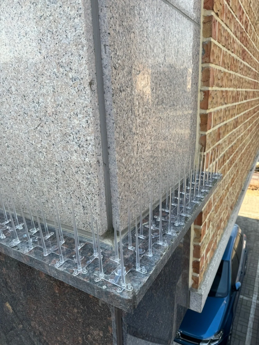 비둘기 퇴치 스파이크 시공