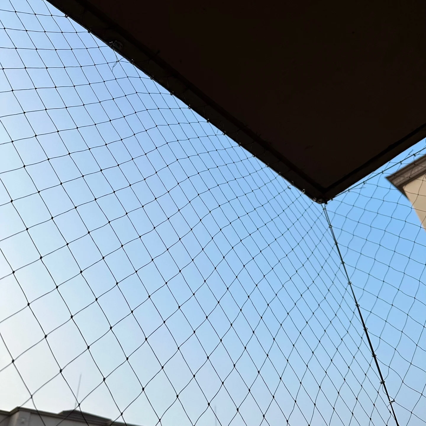 비둘기 퇴치 조망 시공