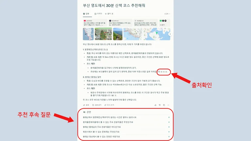 퍼플렉시티 첫 답변