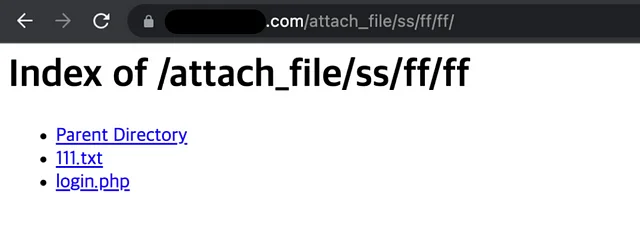 https://[SERVER-3].com/attach_file/ss/ff/ff로 접근한 결과