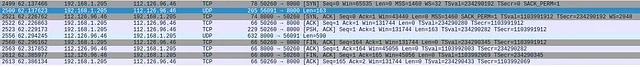 Figure 4. Talking with Alibaba Server in Mainland China (112.126.96.46)