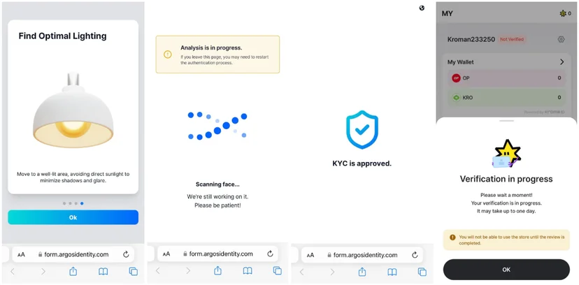online identity verification Process Image 3