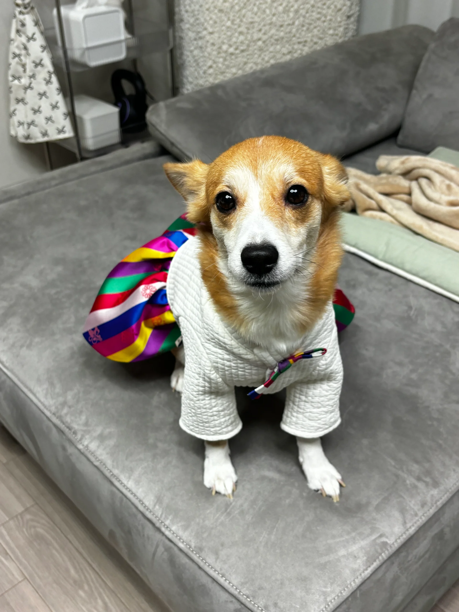 구글 AI 스튜디오