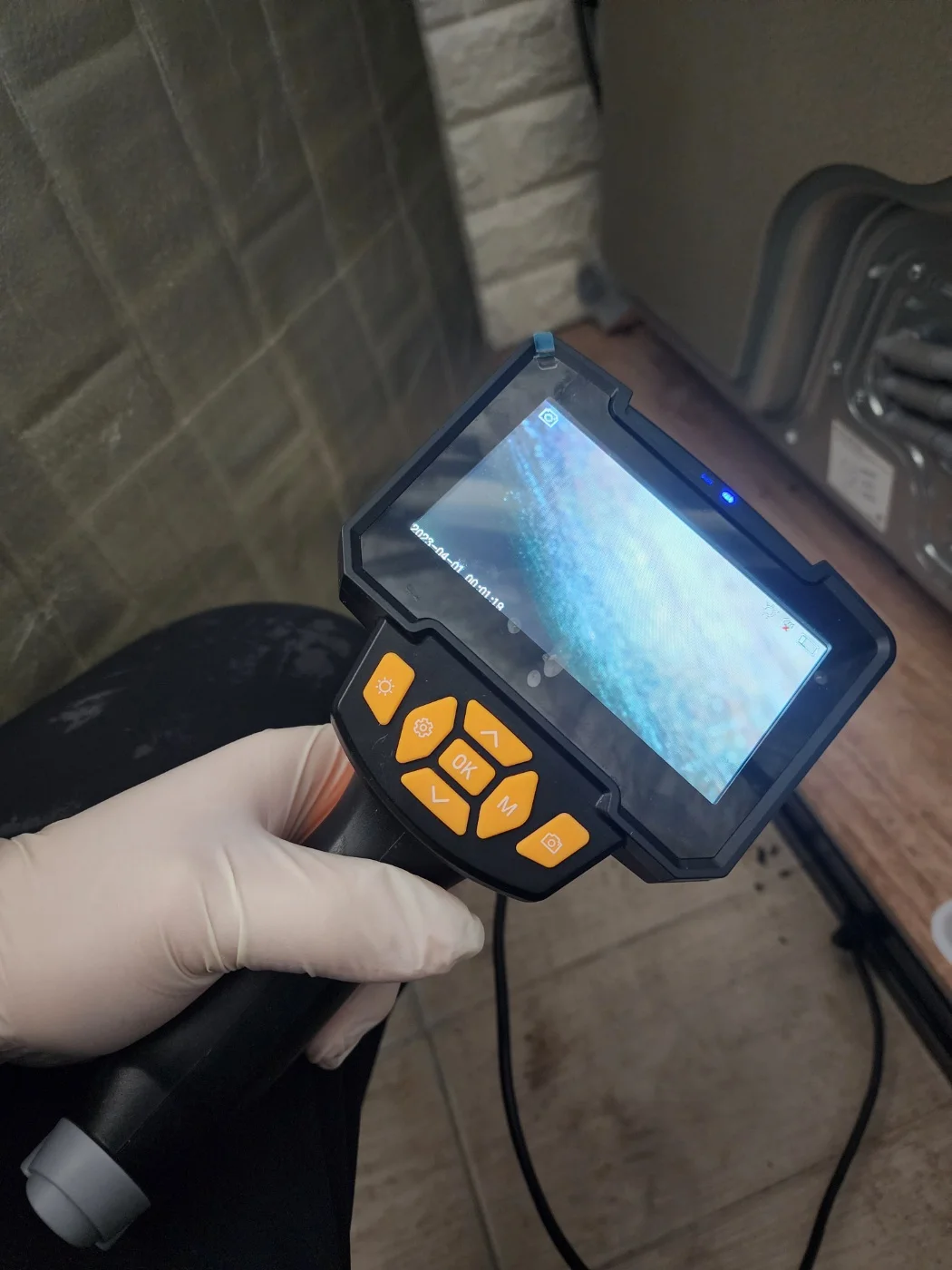 쥐 미세 현미경