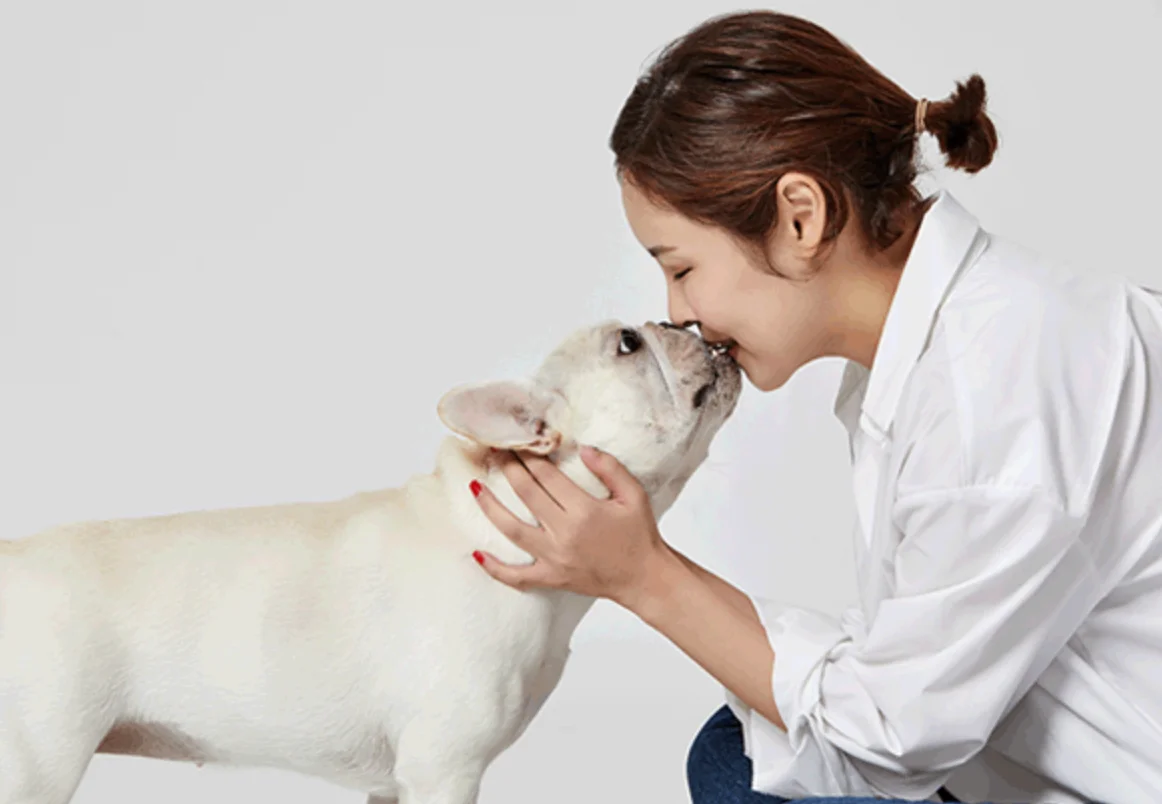 반려동물 시장, 펫테크, 펫푸드 시장, 펫코노미, 휴먼 그레이드