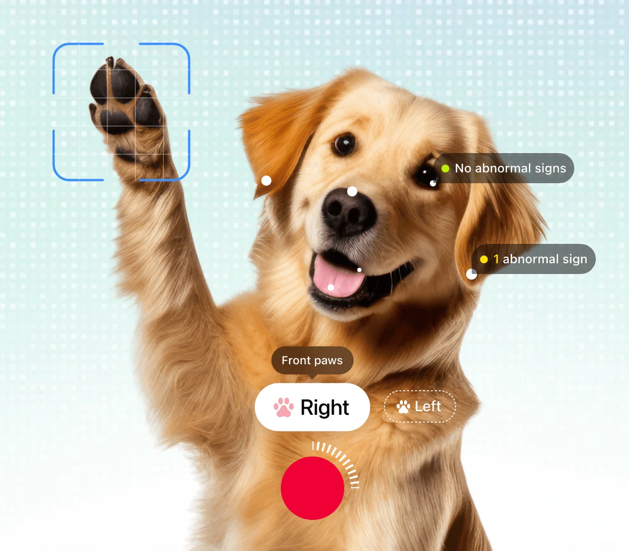 반려동물 시장, 펫테크, 펫푸드 시장, 펫코노미, 휴먼 그레이드