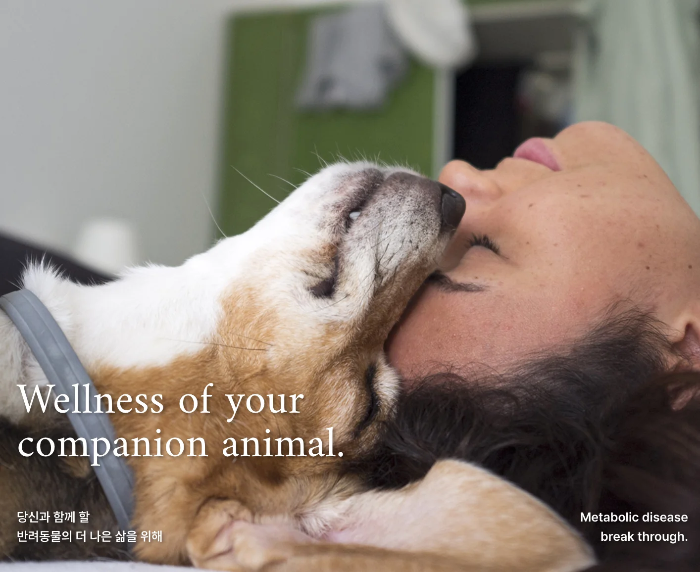 반려동물 시장, 펫테크, 펫푸드 시장, 펫코노미, 휴먼 그레이드