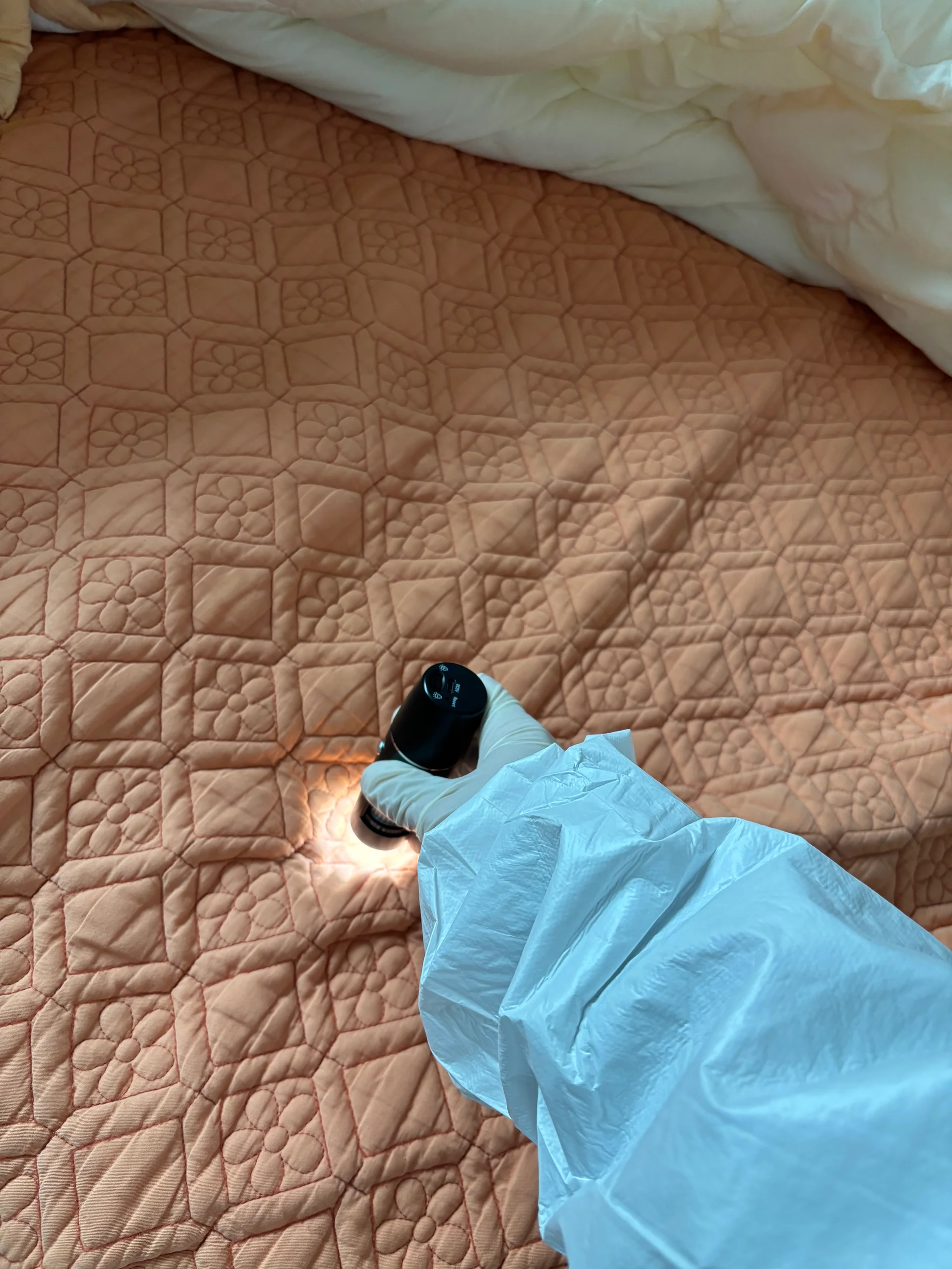 미세해충 특수 현미경 진단