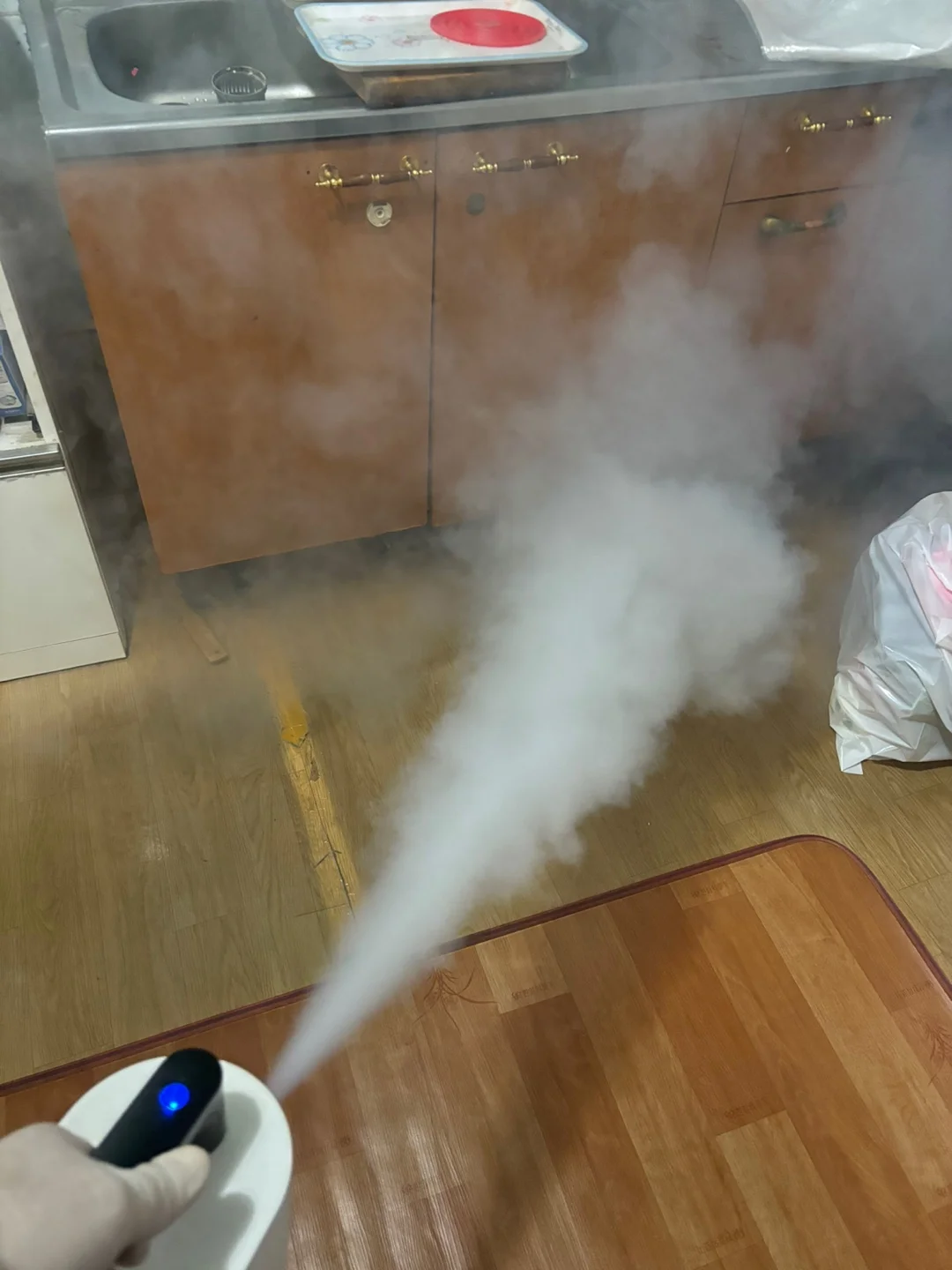 바퀴벌레 연무소독