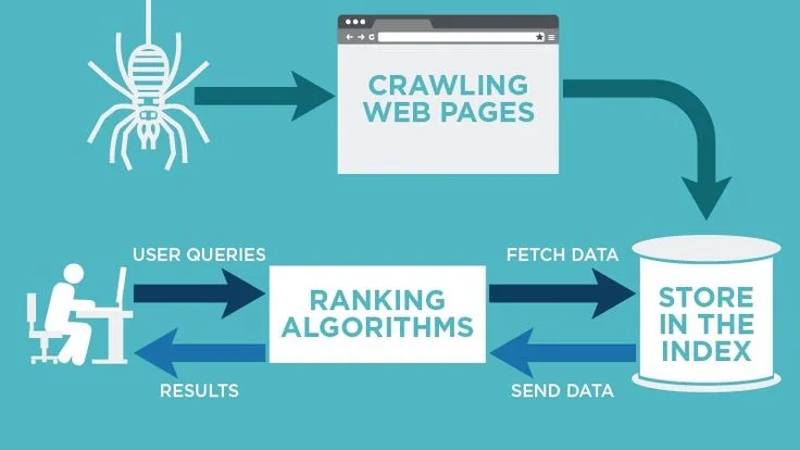 processus of how crawlers work