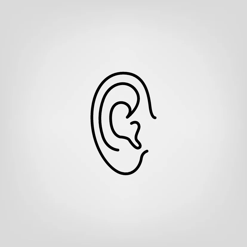 세그먼트