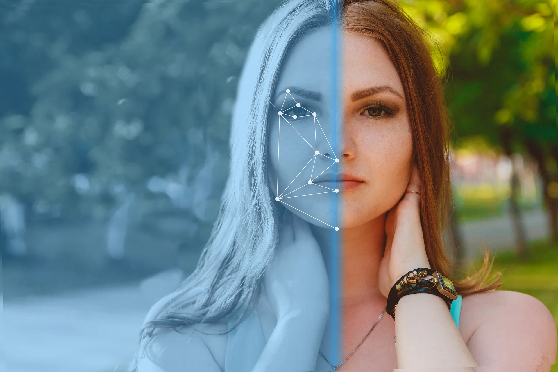 identity verification