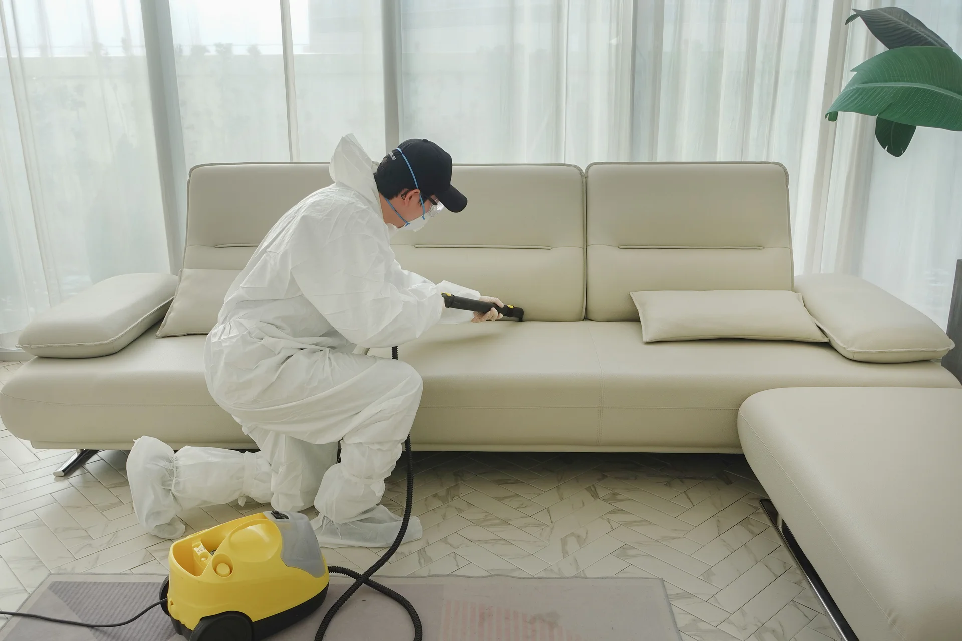 소파 청소 빈대 퇴치