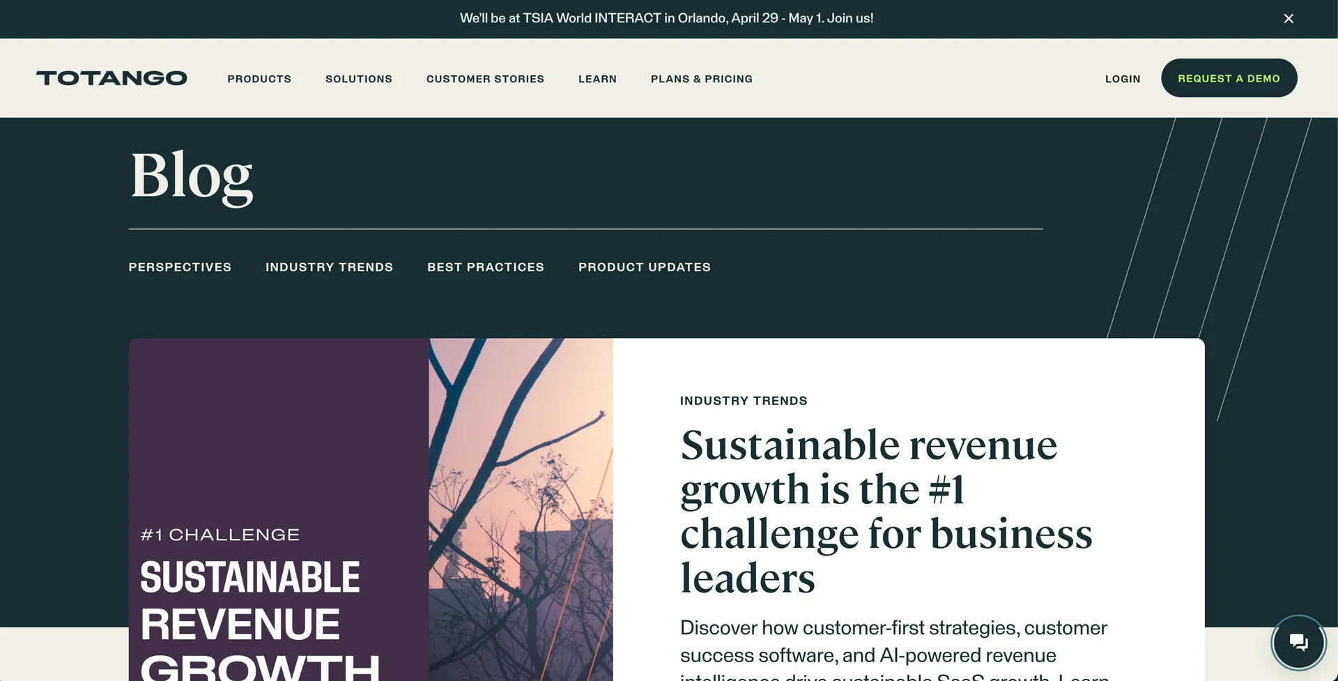 Screenshot of Totango's blog