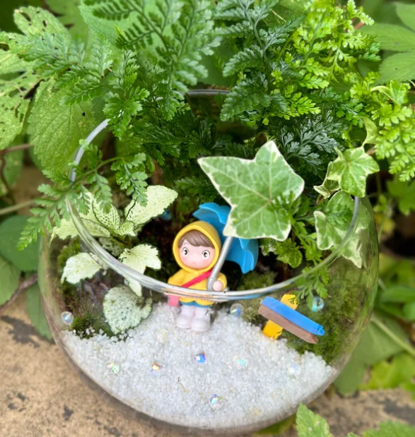 테라리움 만들기 클래스