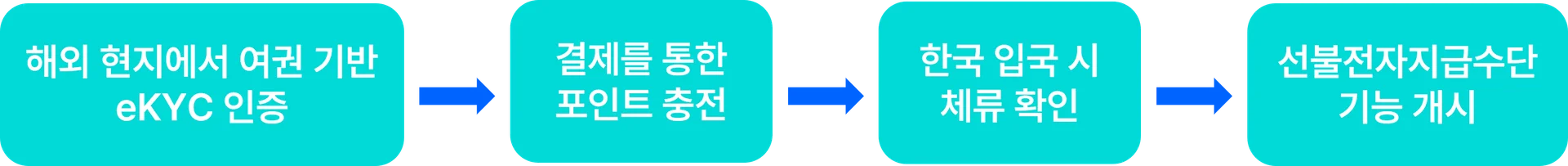 외국인 전자지급수단 프로세스