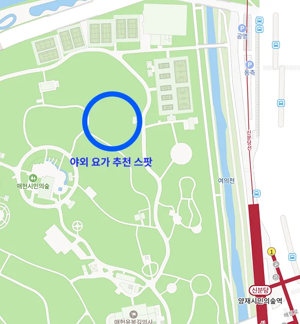 양재 시민의 숲 야외 요가