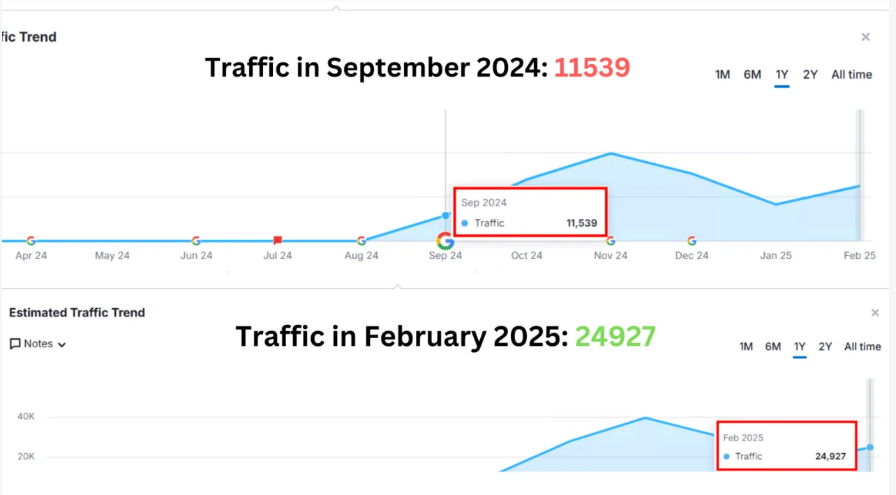 Screenshot of Plum Goodness traffic data from september 2024 to February 2025