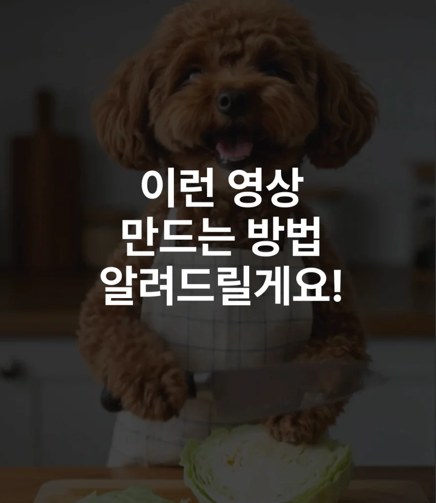 캐럿 AI로 알아보는 영상 제작 가이드