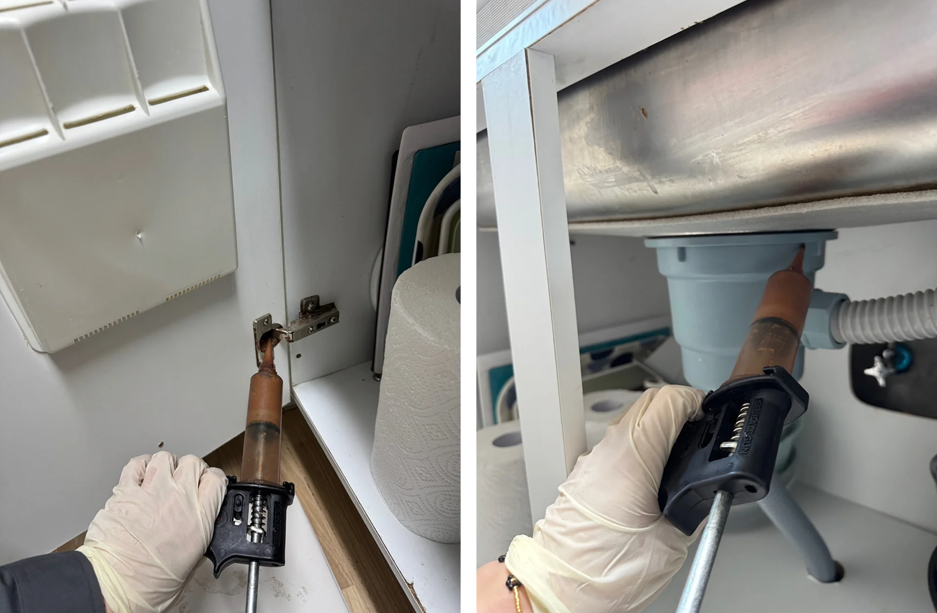 가정집 바퀴벌레 방역 2