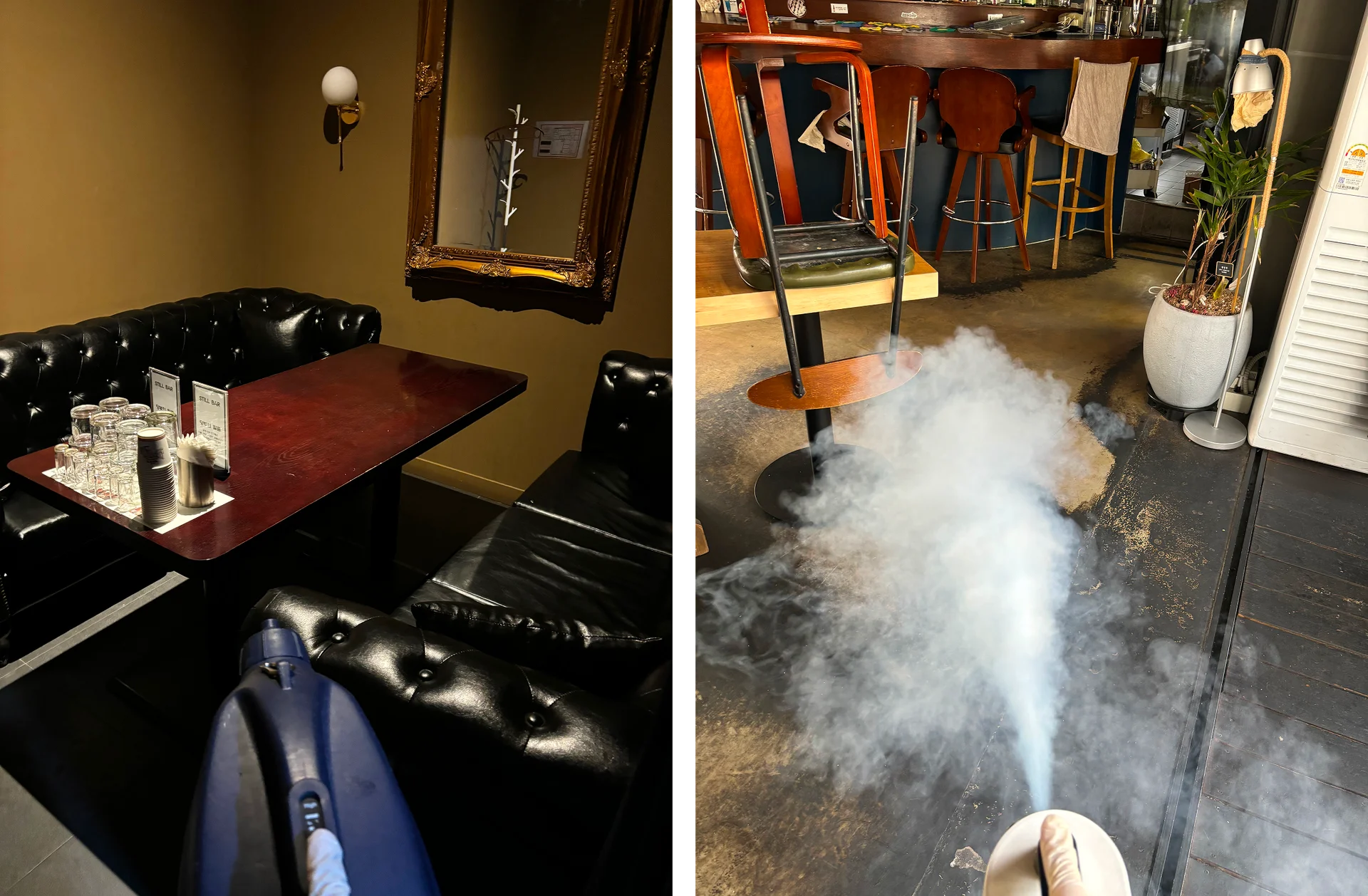 식당 바퀴벌레 방역 3