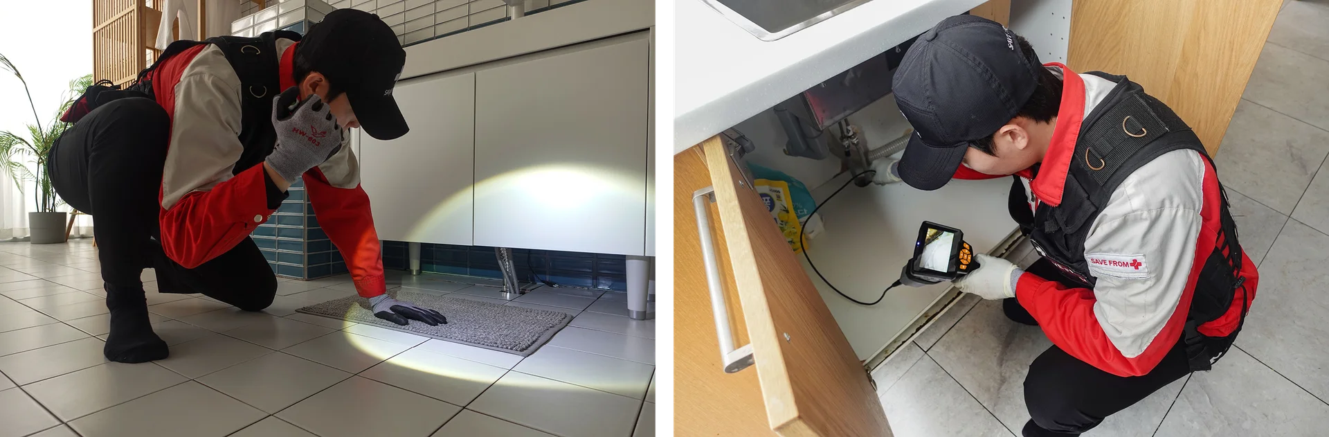 내시경 및 관찰