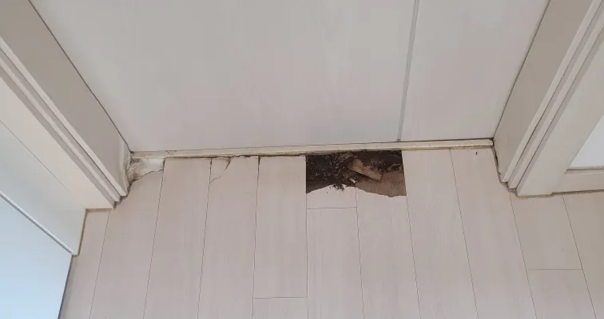 화장실 앞 마루 손상