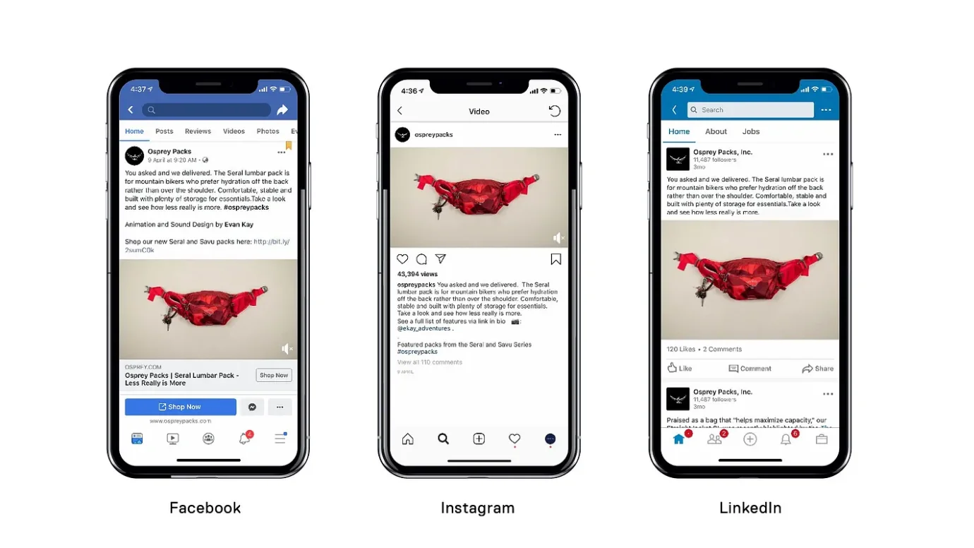 Example of cross-posting (facebook, instagram, linkedIn(
