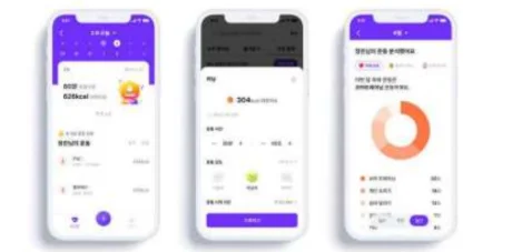 어플리케이션 디지털 콘텐츠
