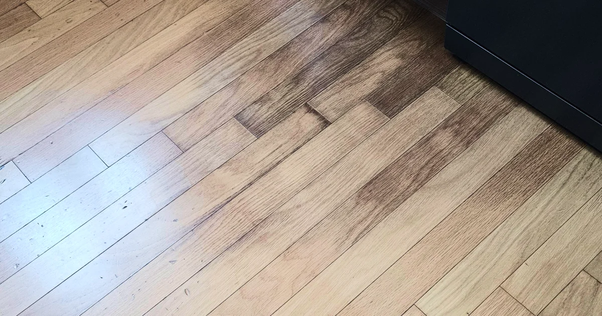 마루 변색과 찍힘