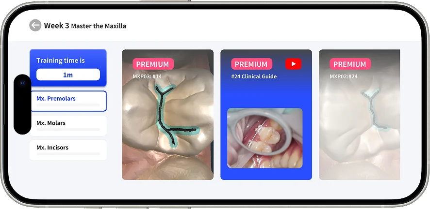 Instructional video provided before each simulation lesson.