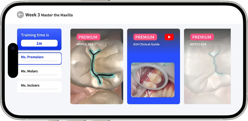 Instructional video provided before each simulation lesson.