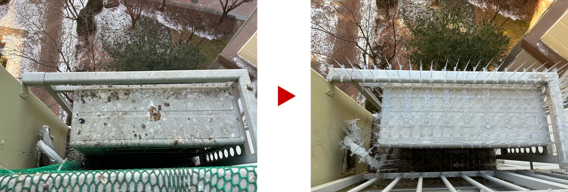 비포 앤 애프터 4