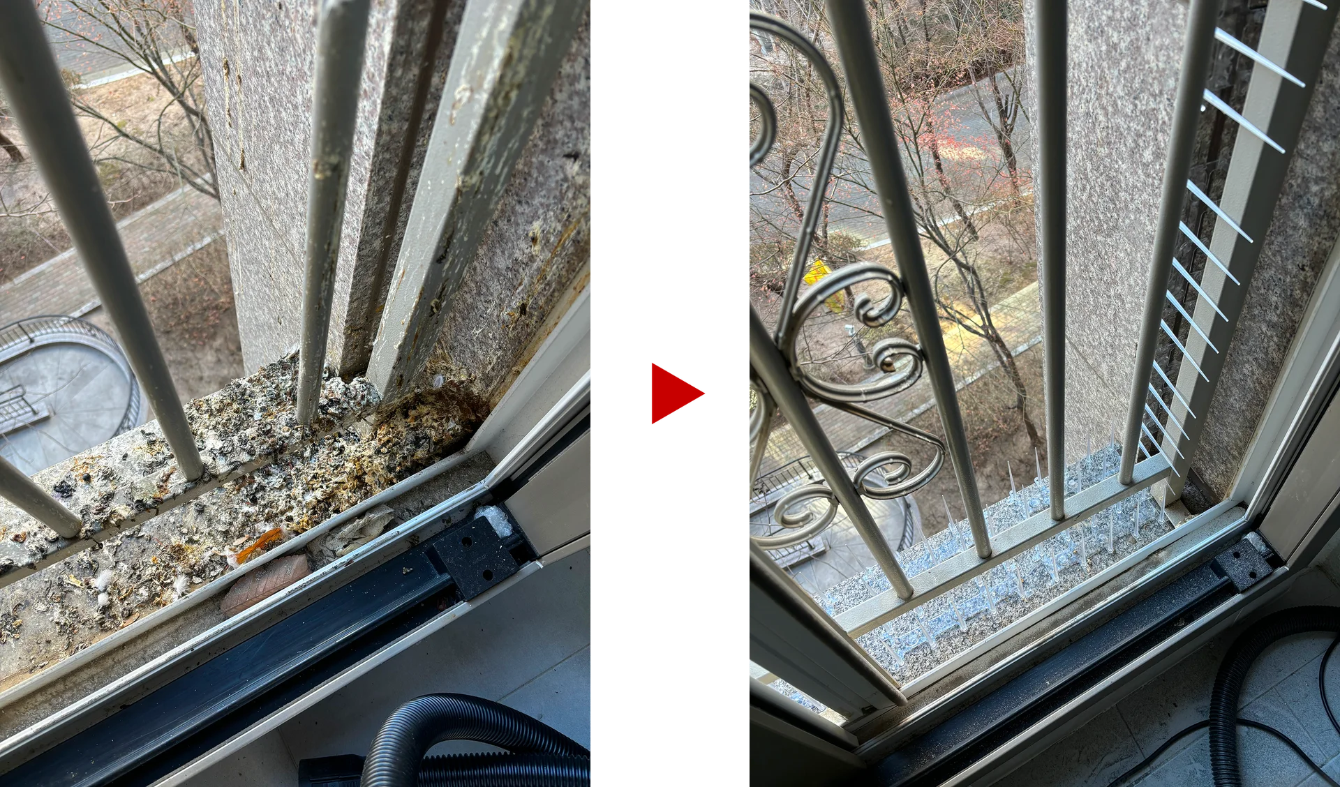 비포 앤 애프터 5