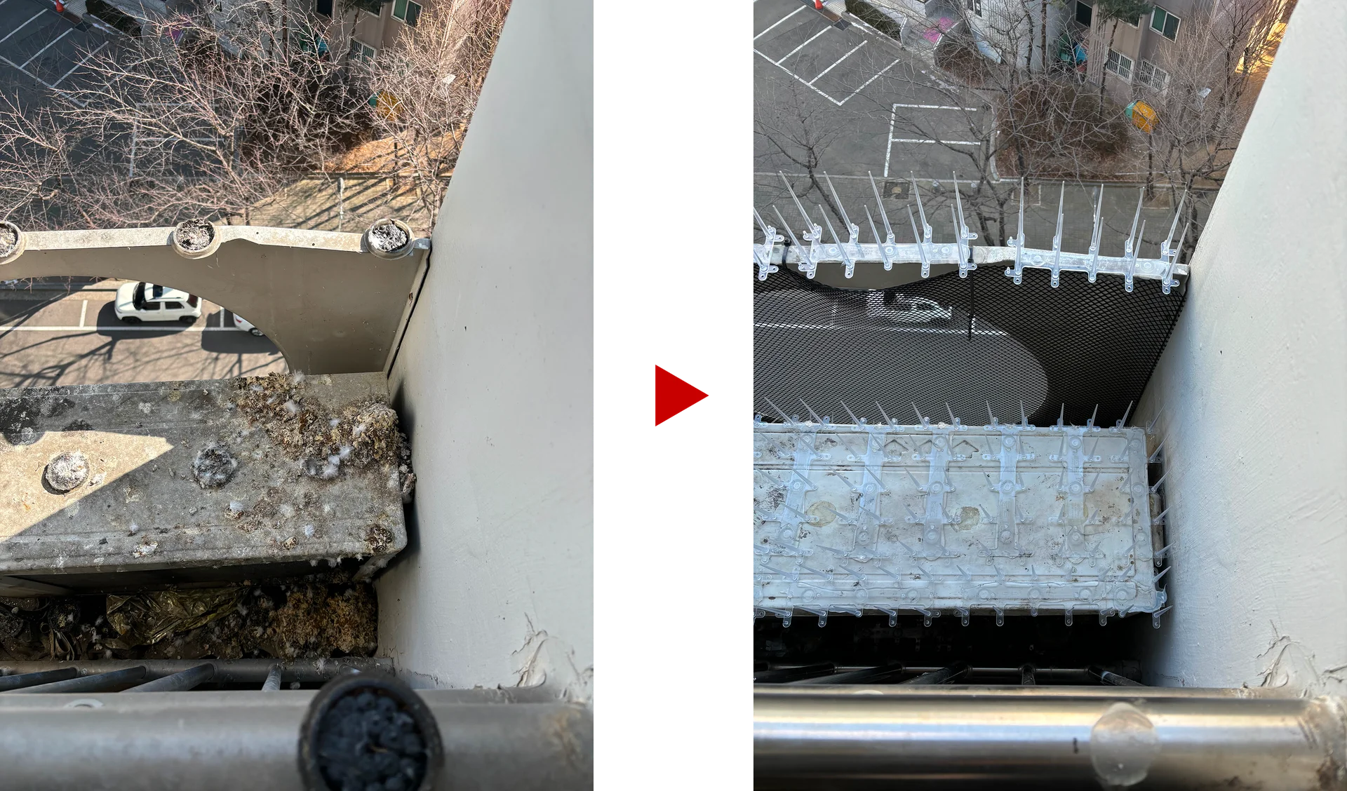 비포 앤 애프터 6