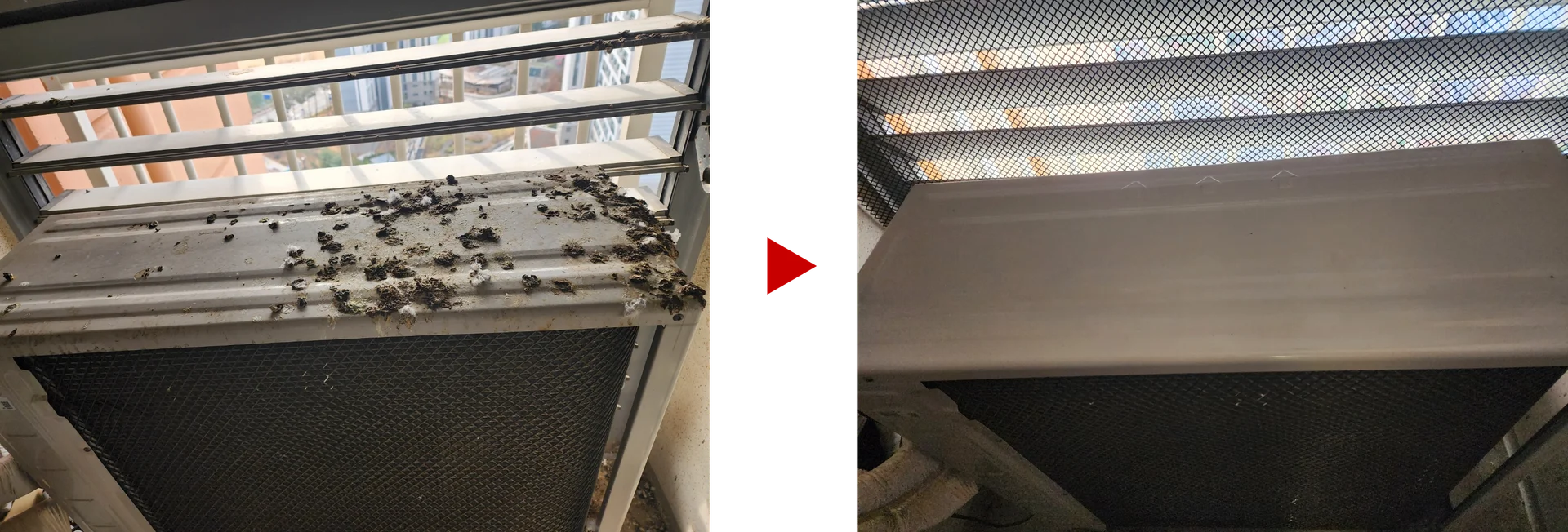 비포 앤 애프터 1