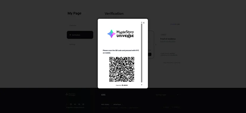 kyc process3