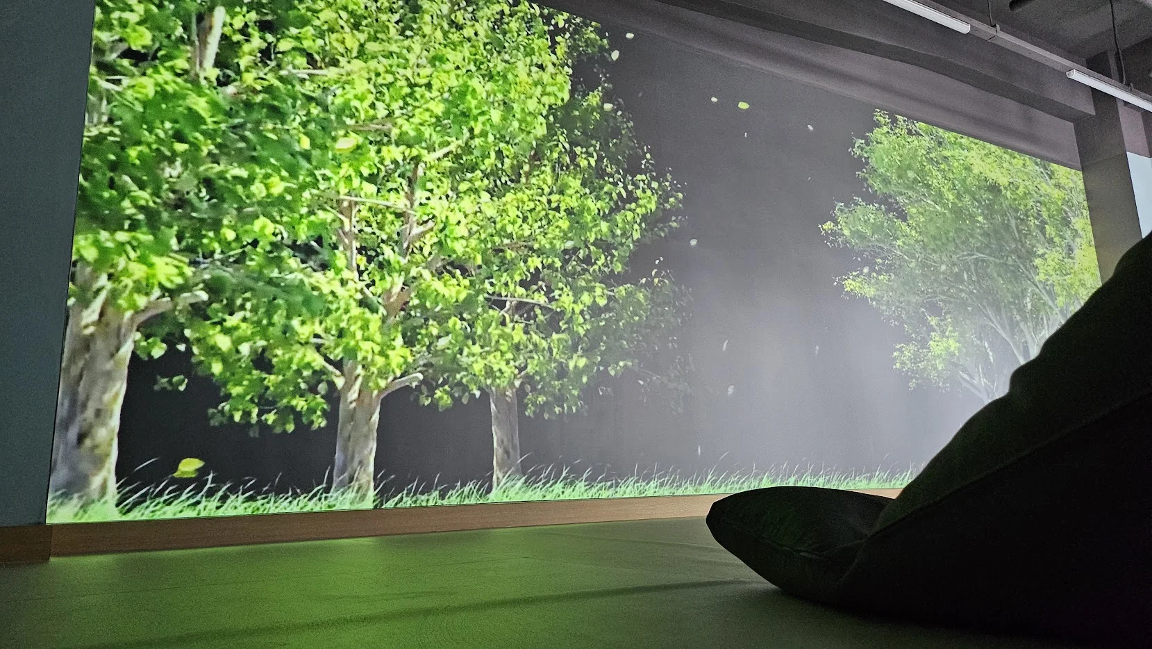 자연 콘텐츠가 상영중인 이은학교의 미디어 아트 벽면