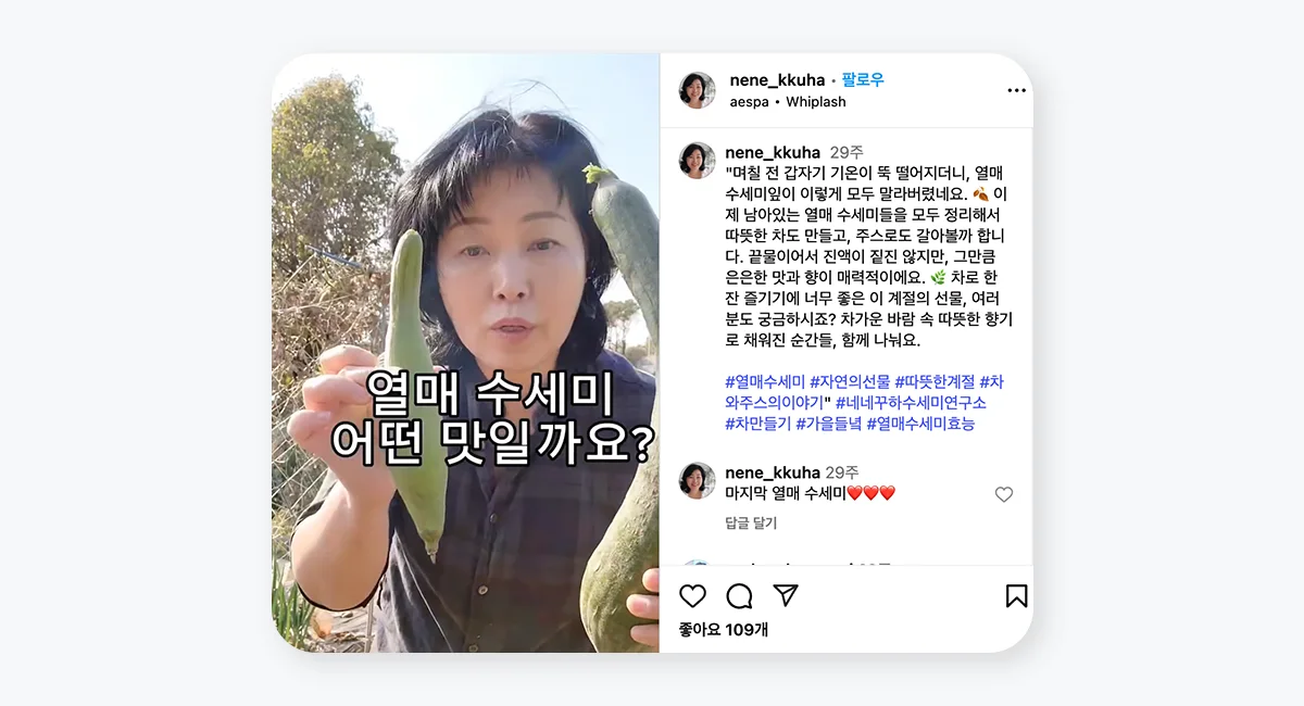 열매 수세미를 들고 설명 중인 네네꾸하 님, “열매 수세미 어떤 맛일까요?”라는 문구가 보이는 인스타그램 영상 썸네일
