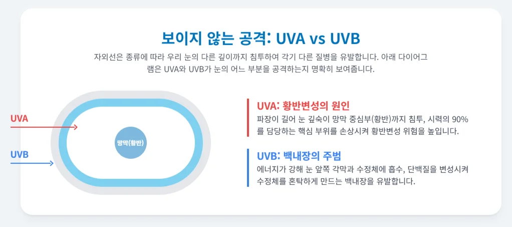 자외선과 눈영향