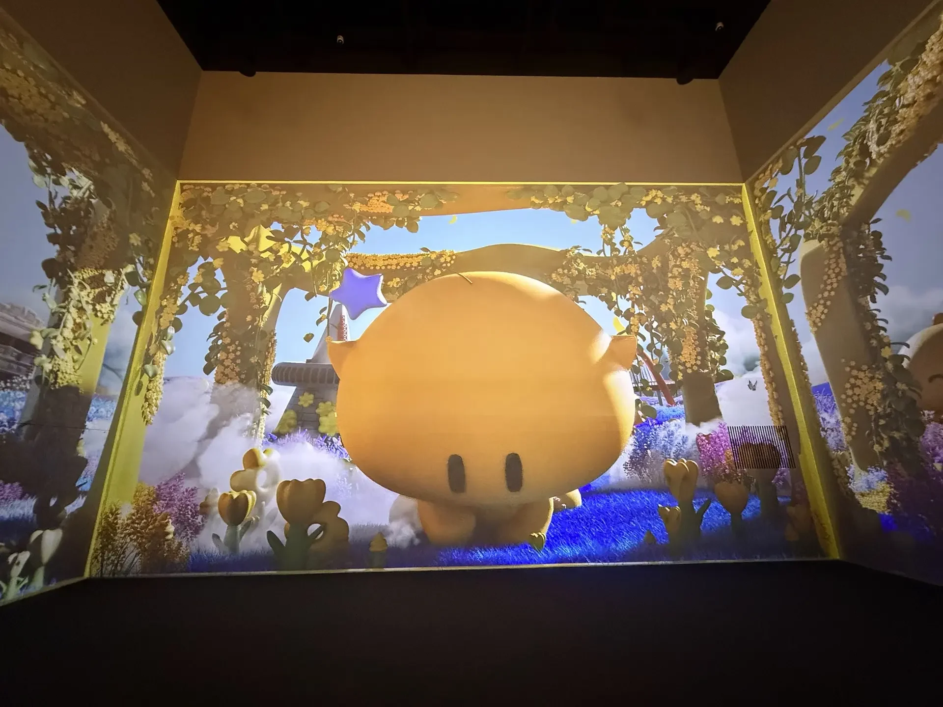 Immersive Three-Sided Video Installation